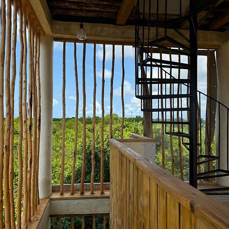 Garden Eden Lodge Jambiani  Zewnętrze zdjęcie